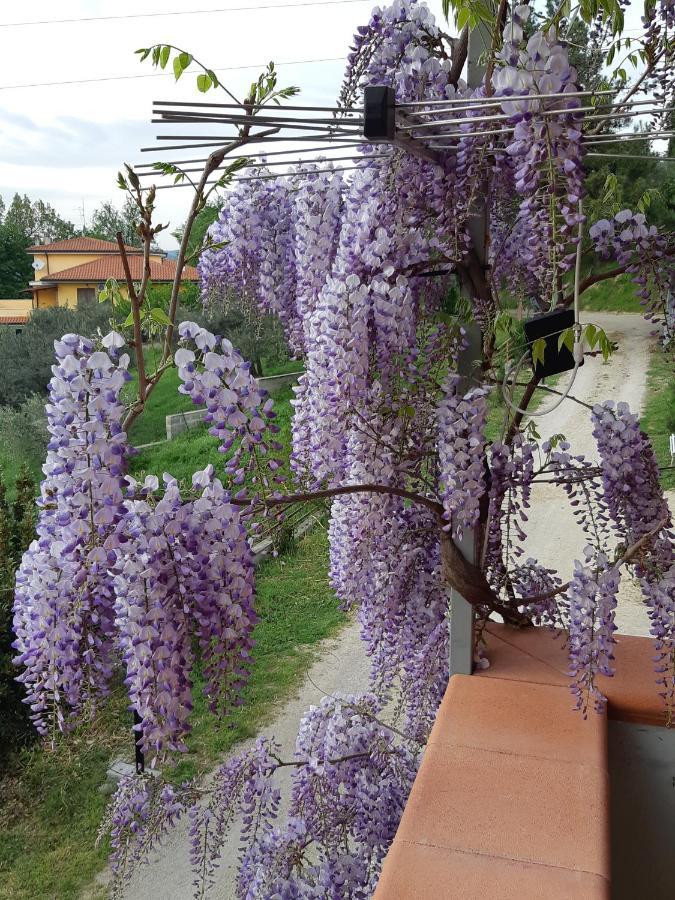 Il Glicine Panzió Chieti Kültér fotó